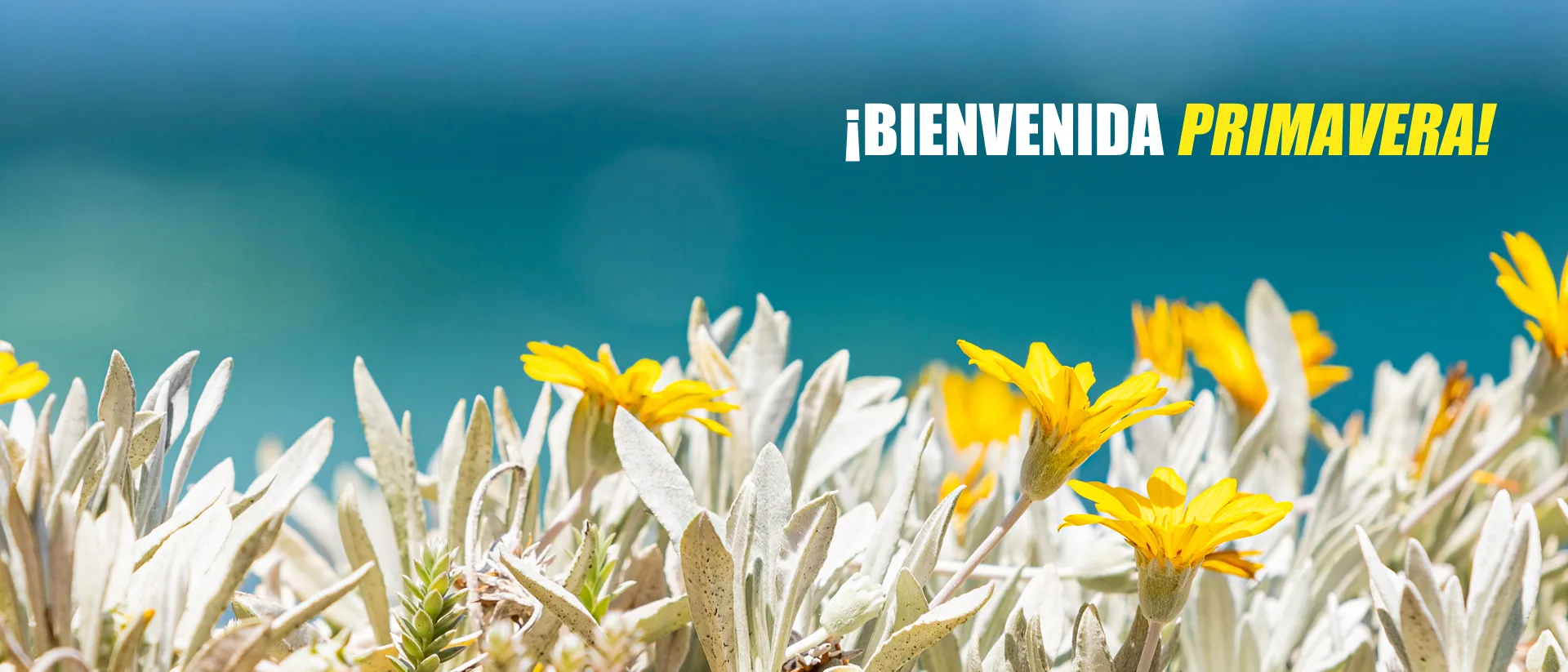 Bienvenida Primavera